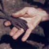 4/1980, Karamoja district, Uganda. Mike Wells, United Kingdom. A starving boy and a missionary.