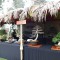 Gian hàng trưng bày các loại cây kiểng bonsai