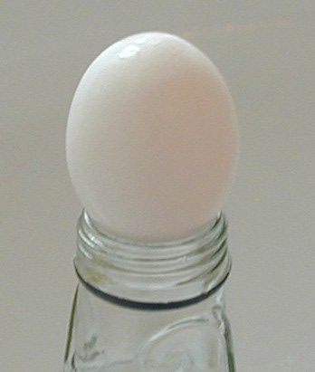 egginbottle
