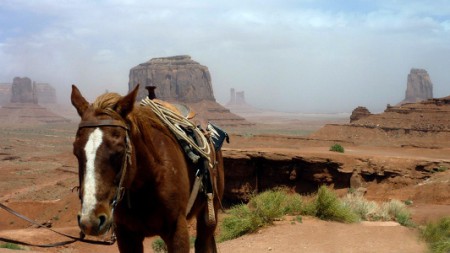 Wild West. Ảnh mang tính minh họa, nguồn www.trekearth.com 