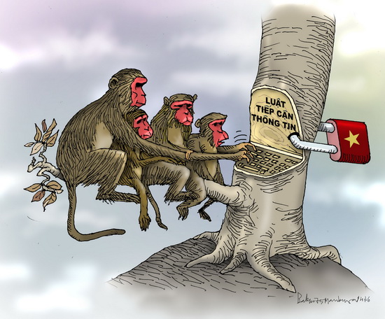 Luật tiếp cận thông tin của khỉ đít đỏ Ba  Đình