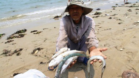 160423085334_vn_dead_fish_640x360_getty_nocredit