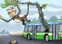 Con khỉ già đầu bạc đi xe buýt chúc tết nhân dân