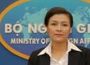 Internet và ngoại giao Việt Nam