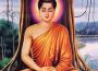Nói về Đạo Phật phát triển hay lụi tàn?