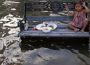 Thái Lan: Hơn 500 người chết vì lũ lụt